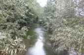 St-Martin-aux-Champs